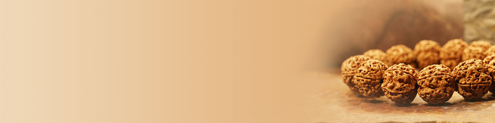 9 Mukhi 9 Mukhi
