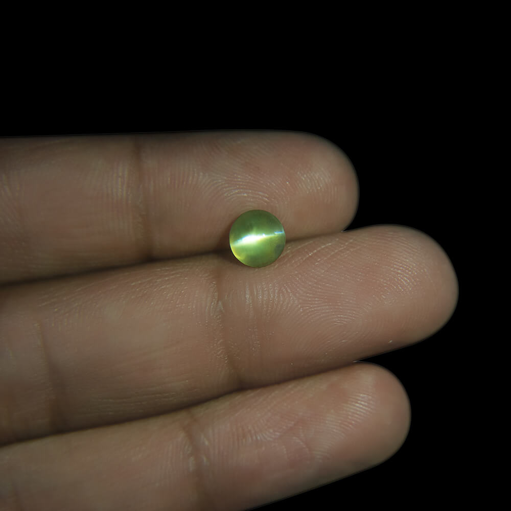 Chrysoberyl Cat's Eye (Lehsunia) - 2.50 Carat (2.70 Ratti)