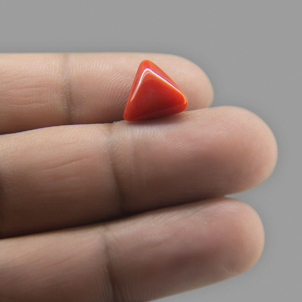 Red Coral - 4.62 Carat