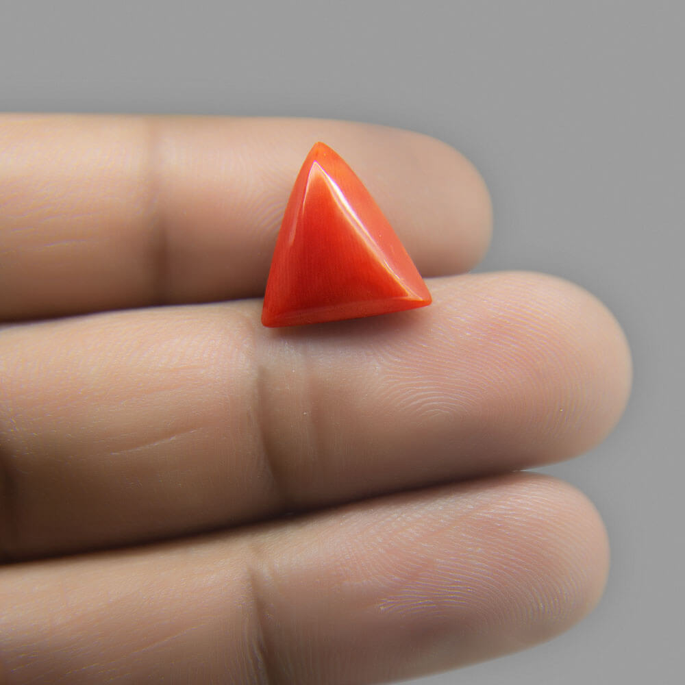Red Coral - 6.88 Carat