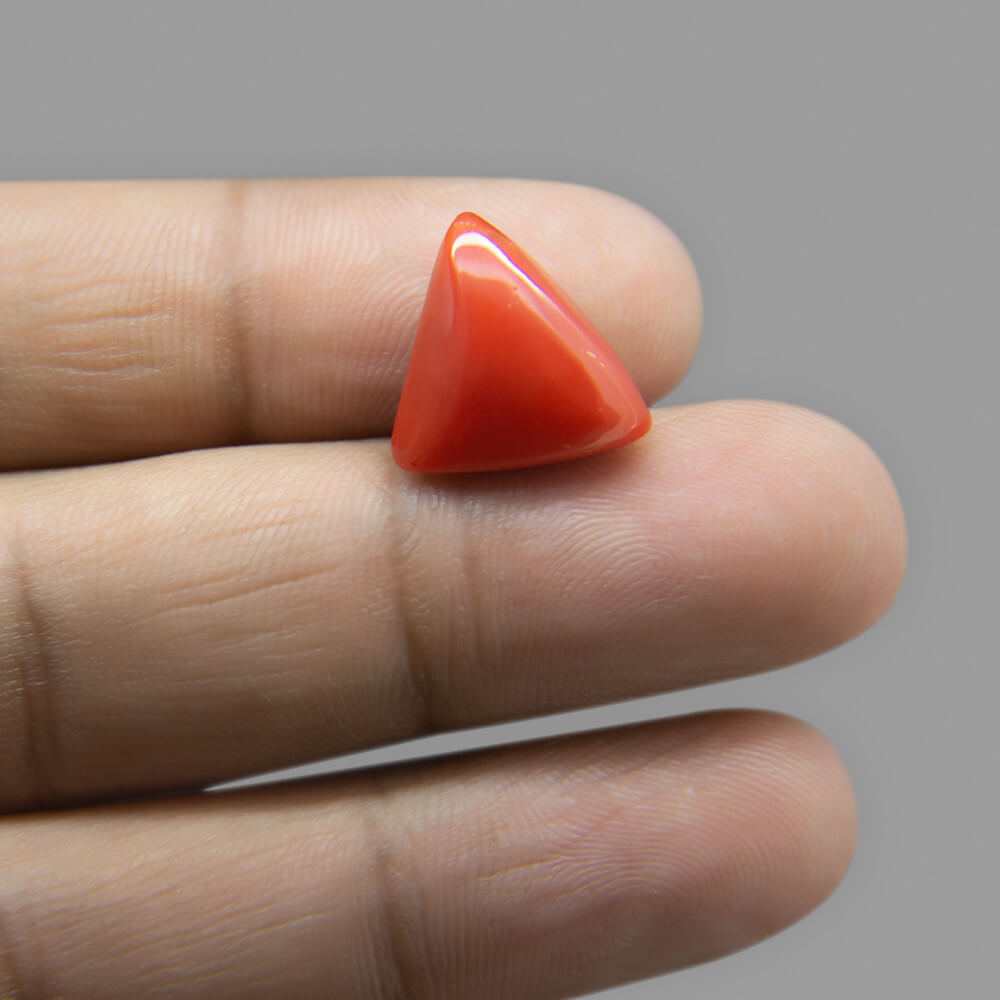 Red Coral - 8.57 Carat