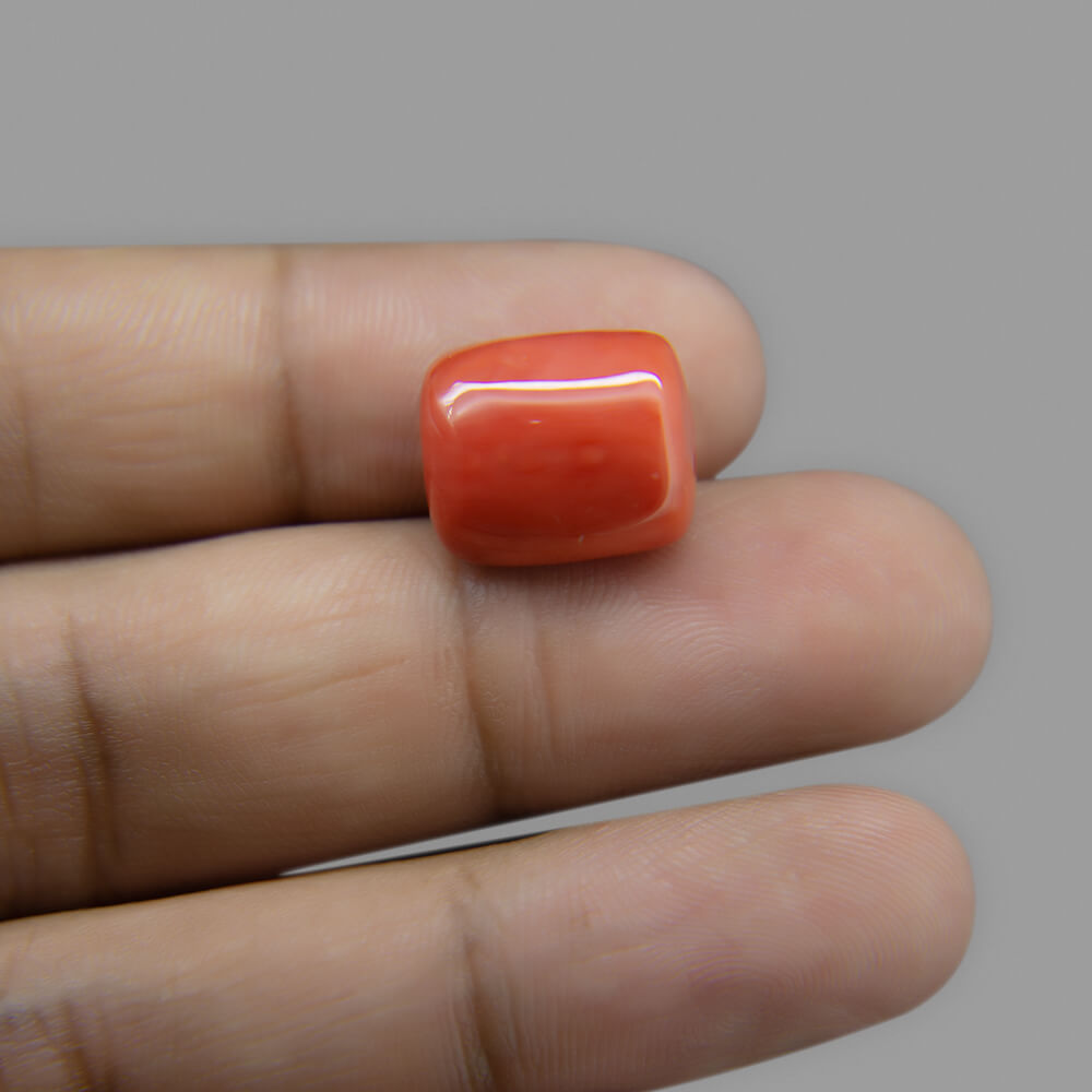 Red Coral - 13.33 Carat