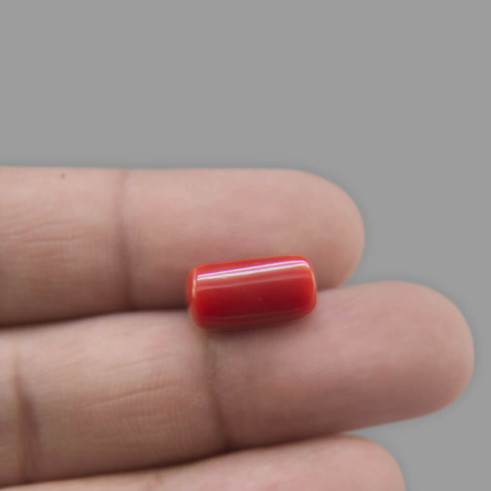 Red Coral - 5.93 Carat