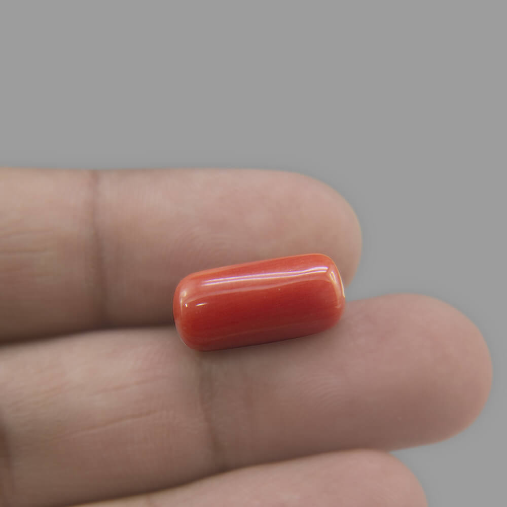 Red Coral - 5.41 Carat