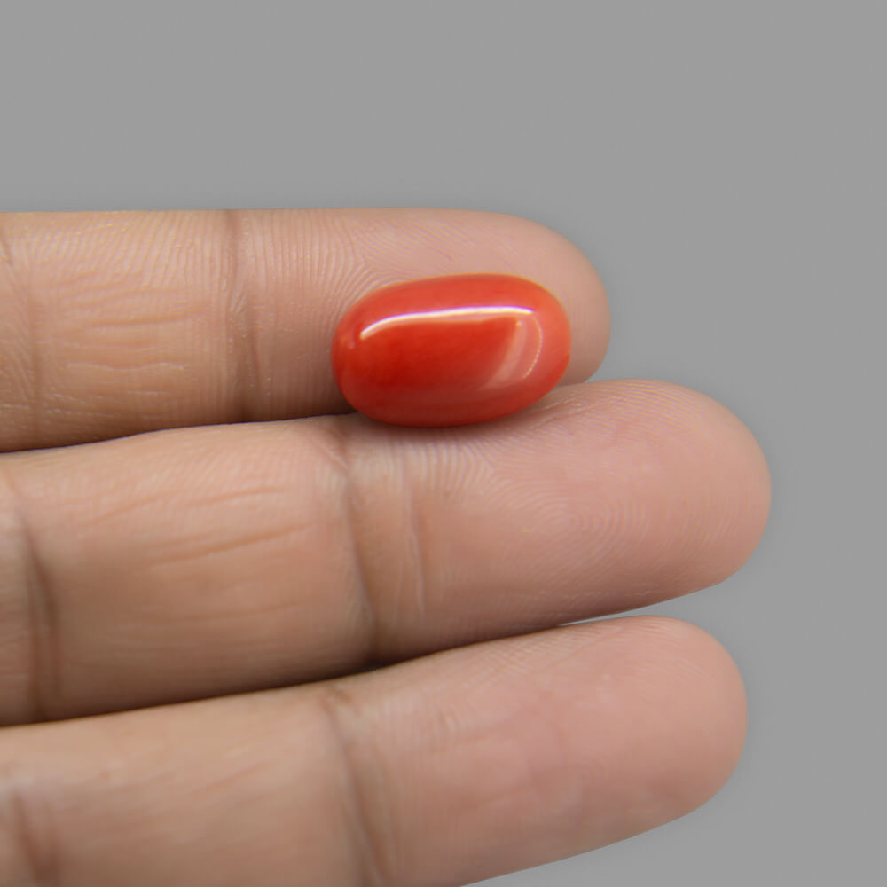 Red Coral - 11.17 Carat