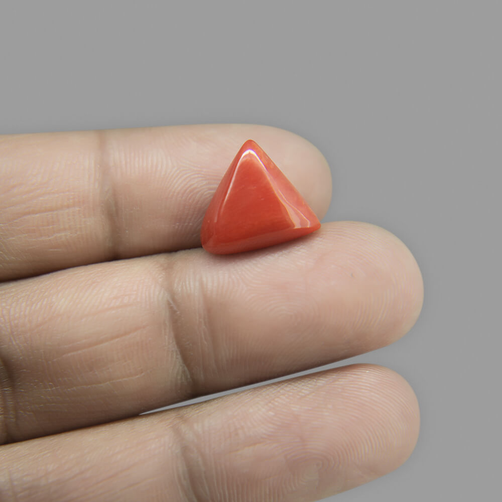 Red Coral - 6.57 Carat