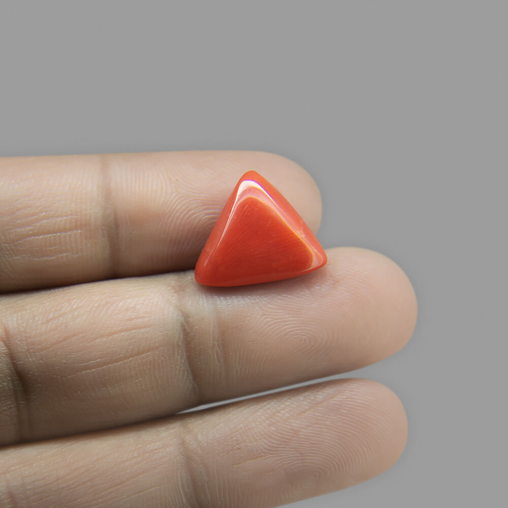 Red Coral - 8.58 Carat