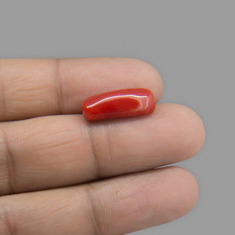 Red Coral - 6.65 Carat