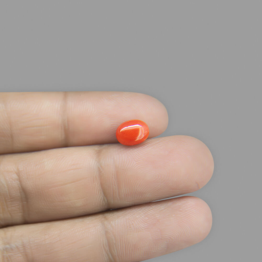 Red Coral - 1.79 Carat