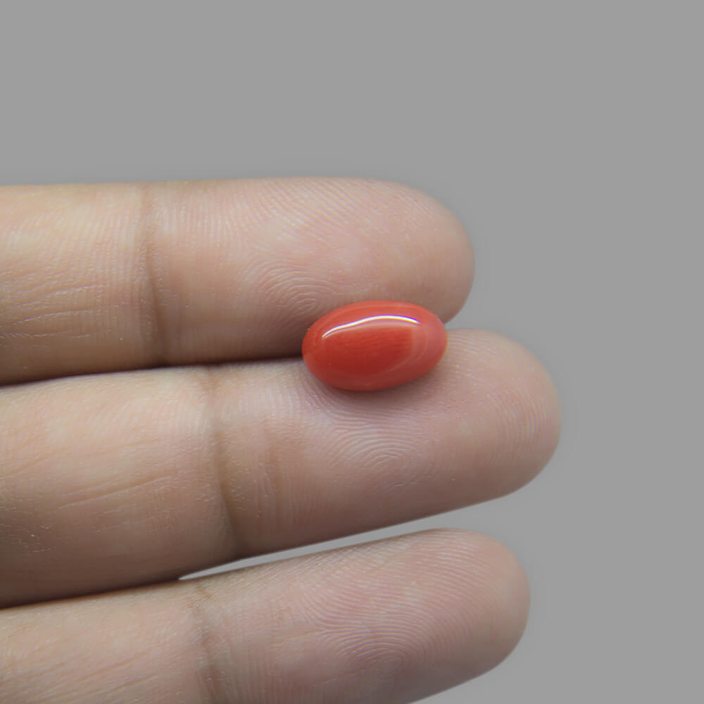 Red Coral - 3.72 Carat