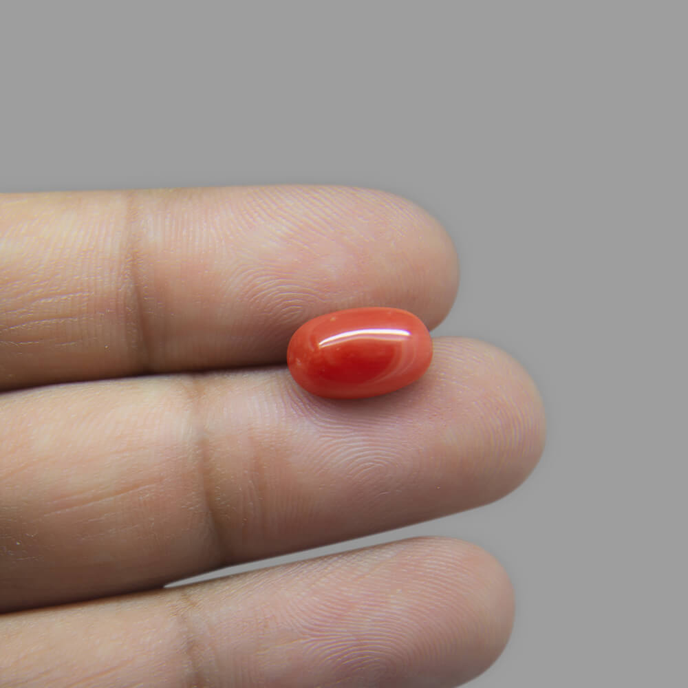 Red Coral - 3.69 Carat