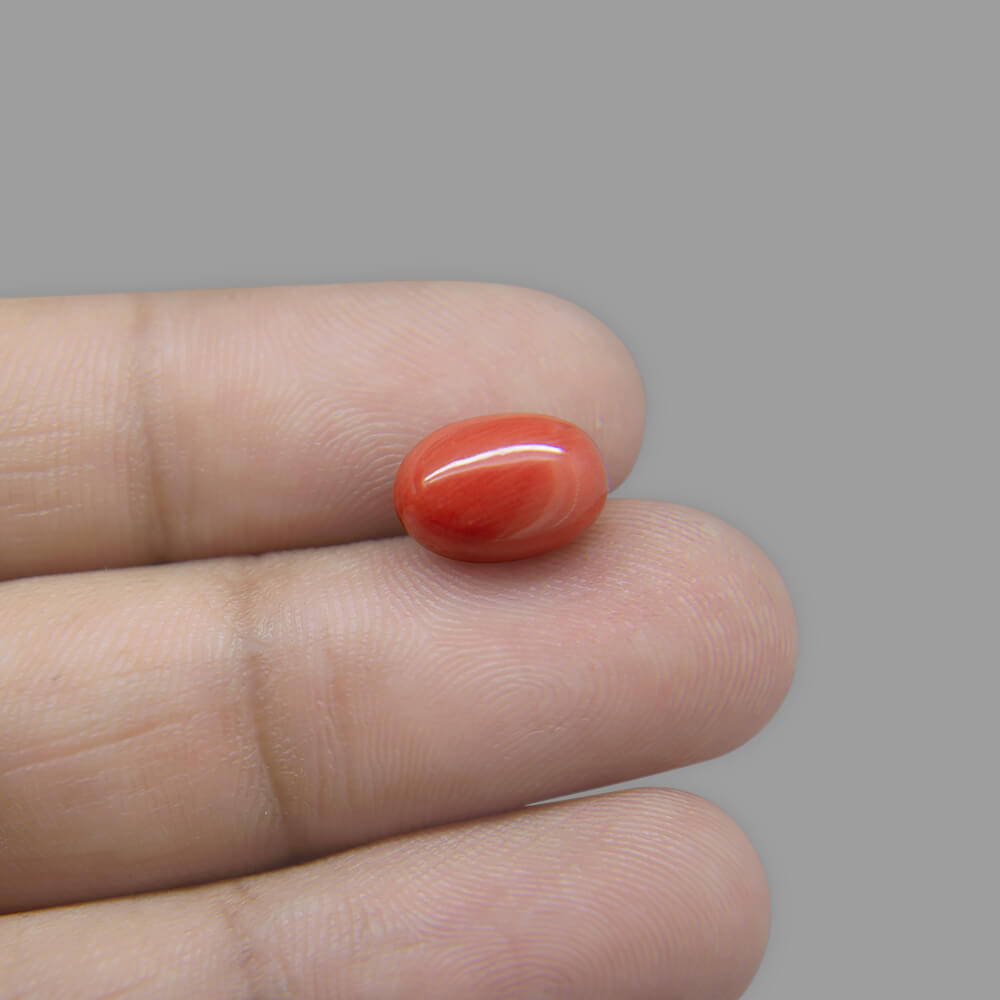 Red Coral - 4.34 Carat