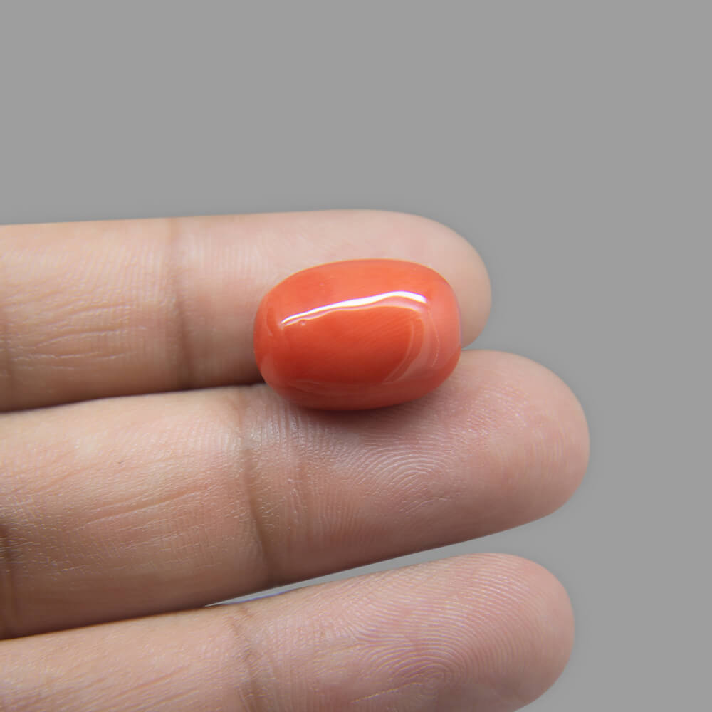 Red Coral - 15.17 Carat