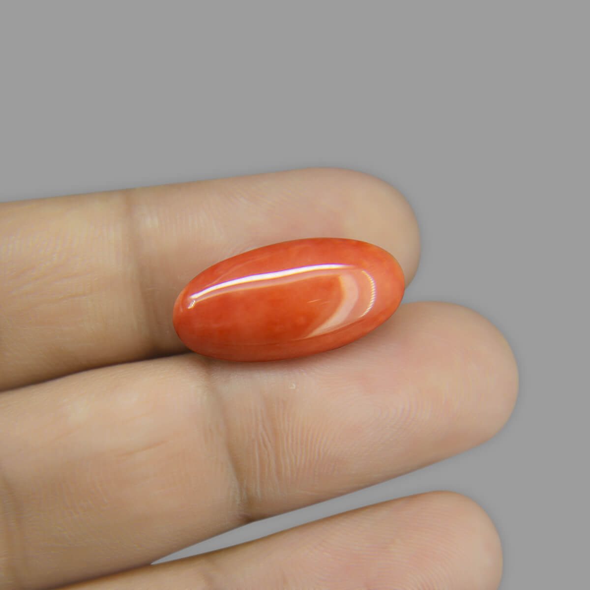 Red Coral - 9.04 Carat