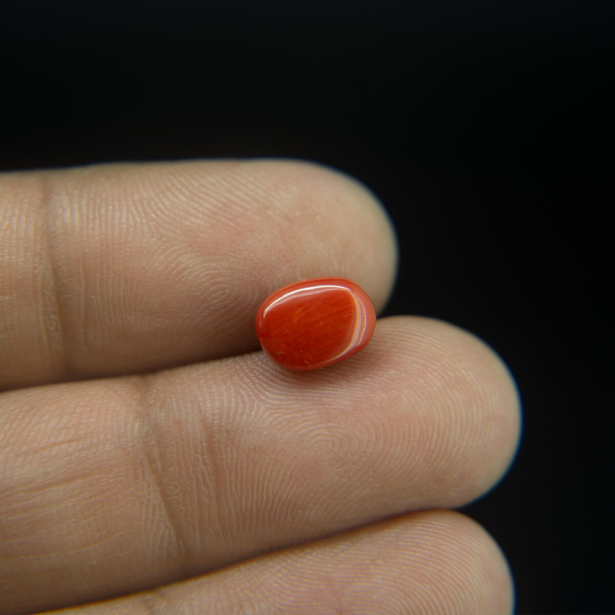 Red Coral - 2.79 Carat
