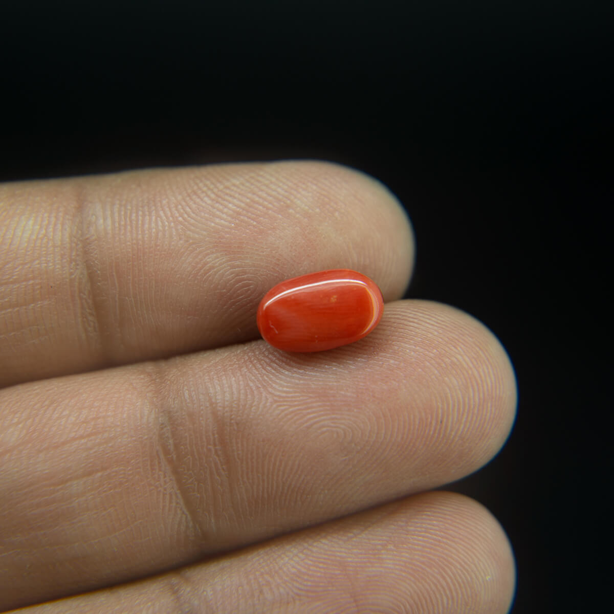 Red Coral - 2.73 Carat