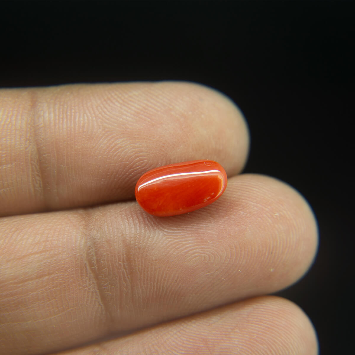 Red Coral - 3.26 Carat