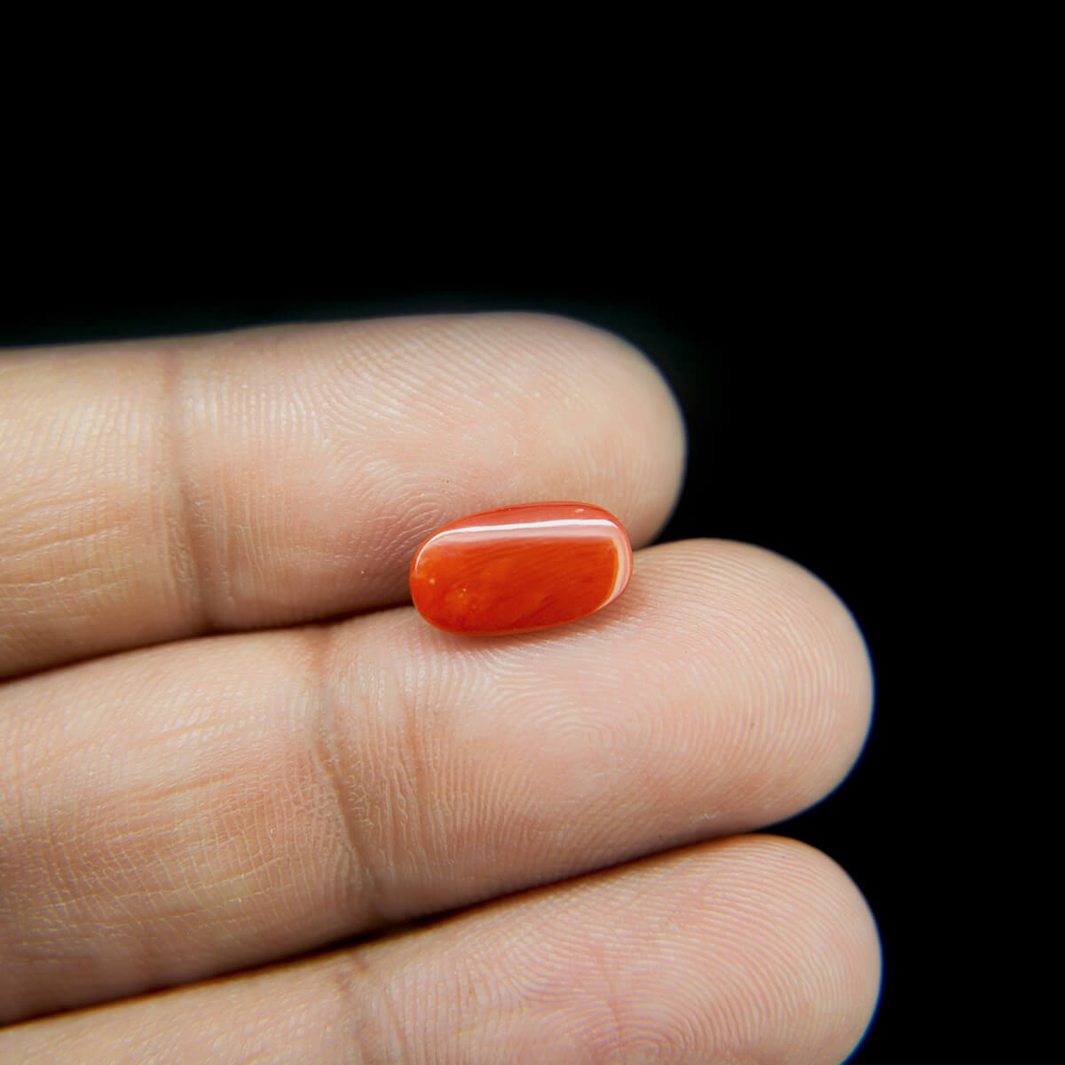 Red Coral - 2.67 Carat