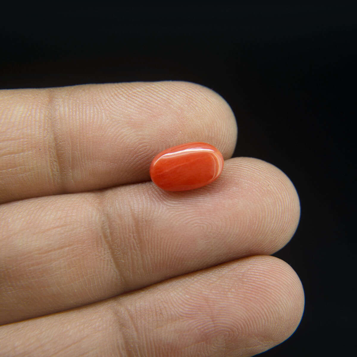 Red Coral - 2.73 Carat