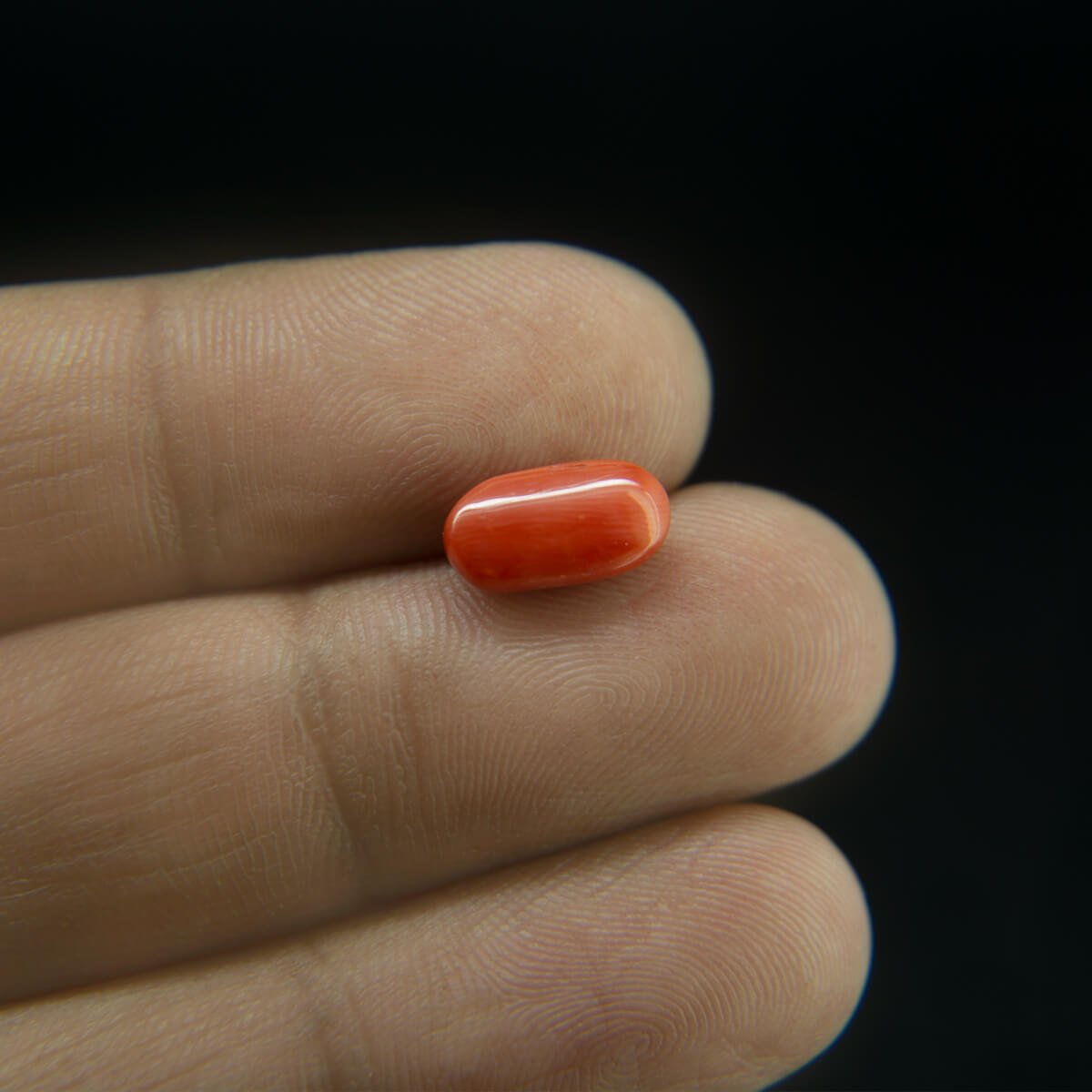 Red Coral - 3.00 Carat