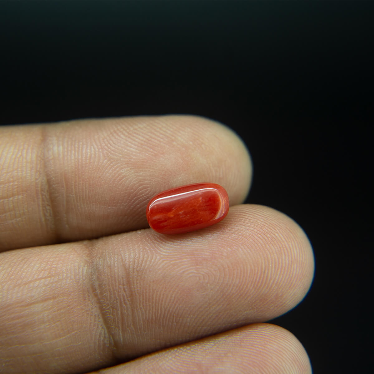 Red Coral - 2.31 Carat