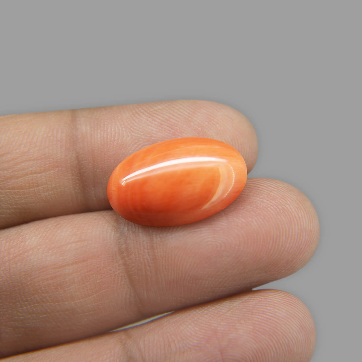 Red Coral - 10.00 Carat