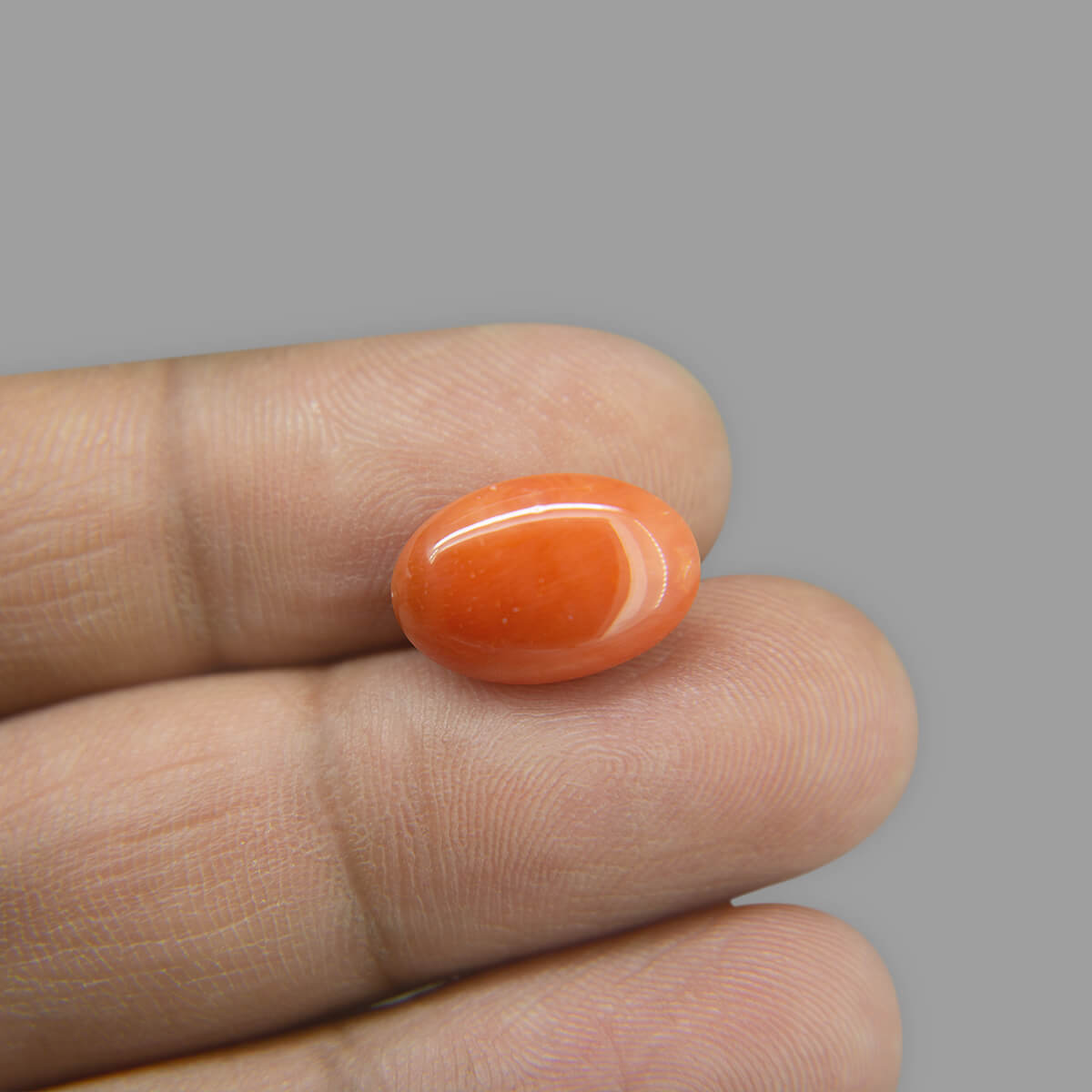 Red Coral - 6.03 Carat
