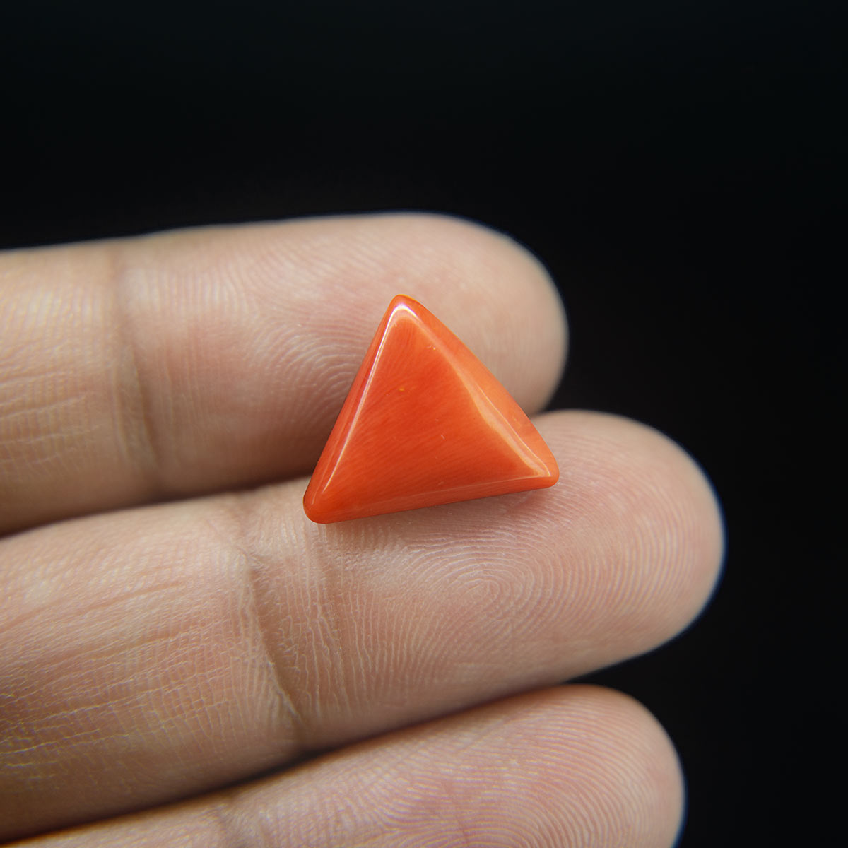 Red Coral - 6.04 Carat