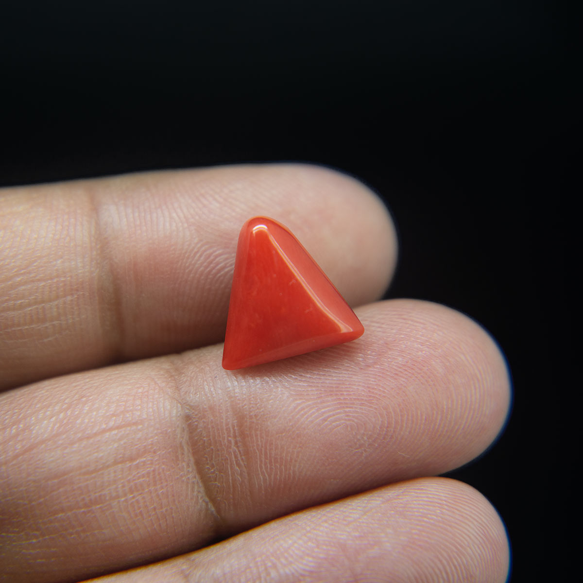 Red Coral - 6.24 Carat