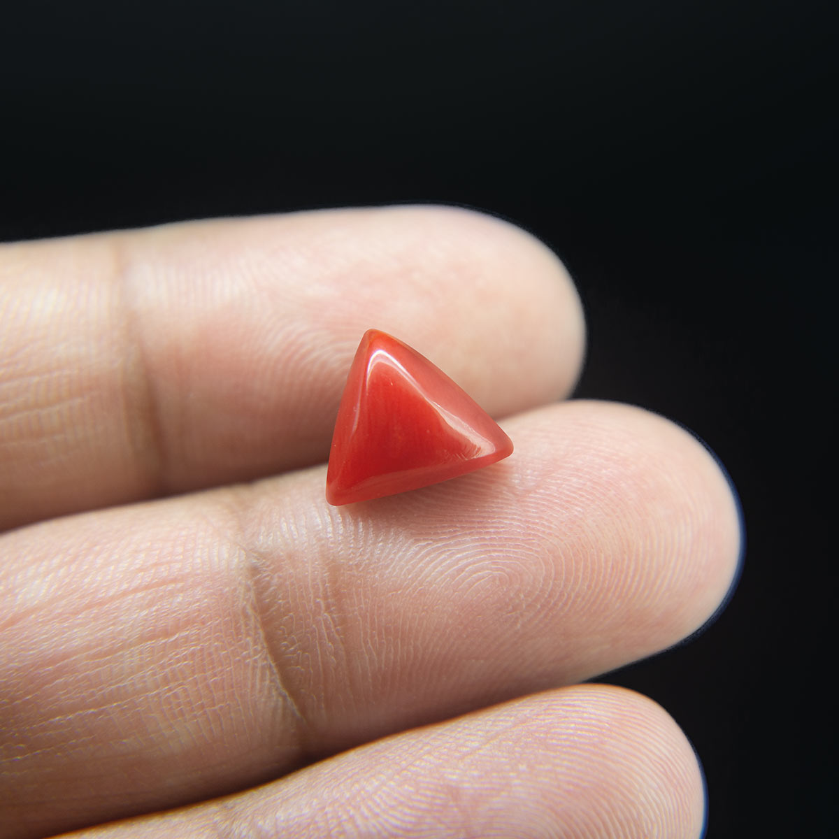 Red Coral - 4.09 Carat