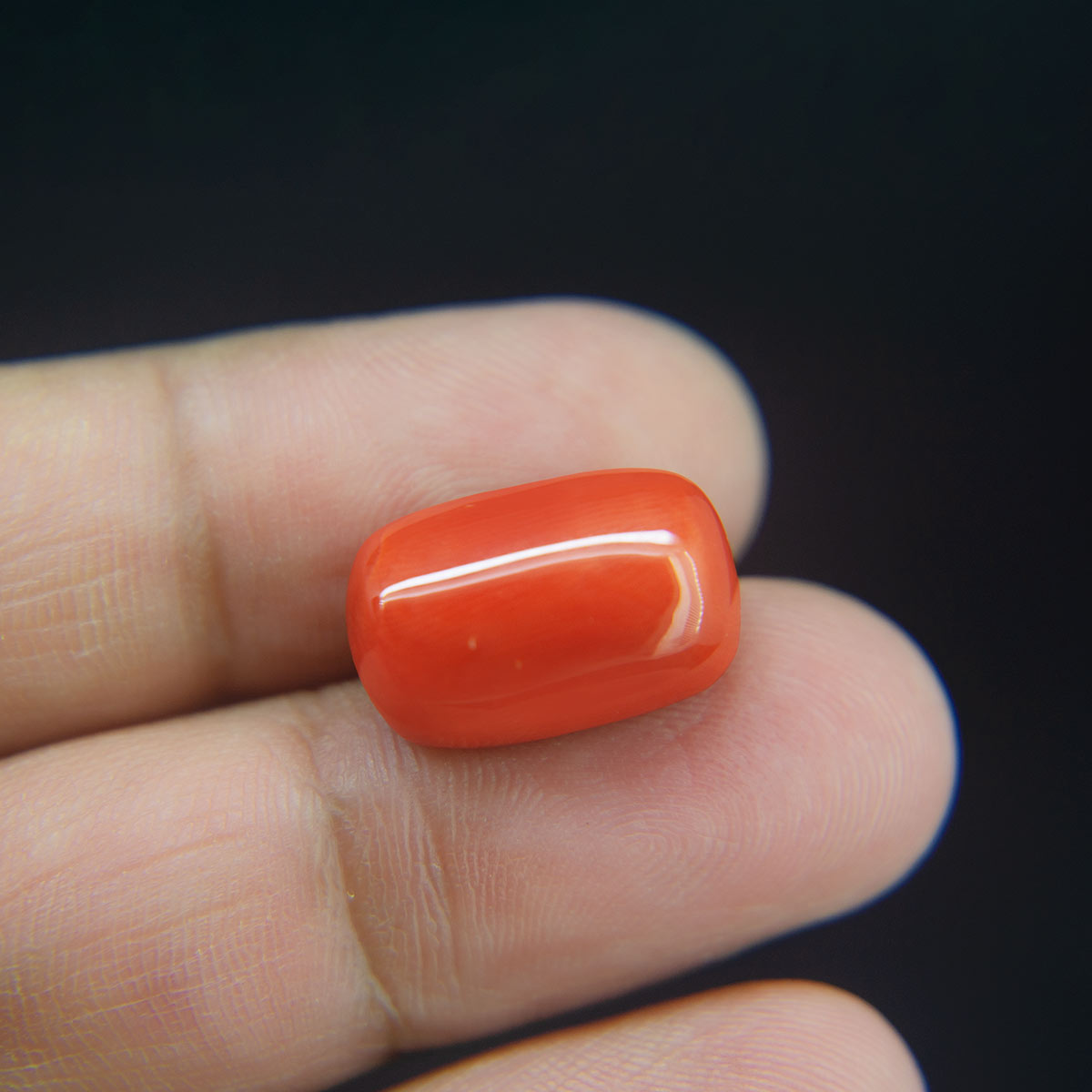 Red Coral - 18.00 Carat