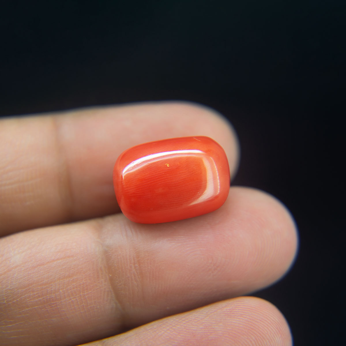 Red Coral - 16.00 Carat