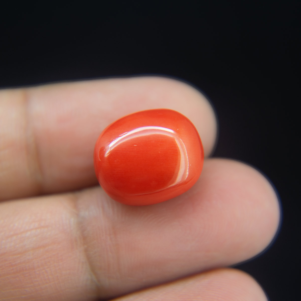 Red Coral - 18.03 Carat
