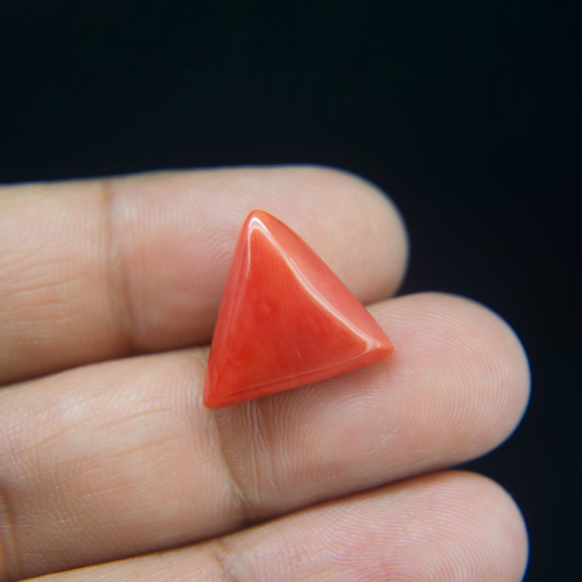 Red Coral - 13.30 Carat