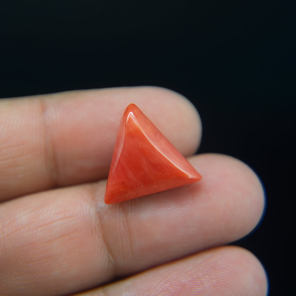 Red Coral - 11.33 Carat