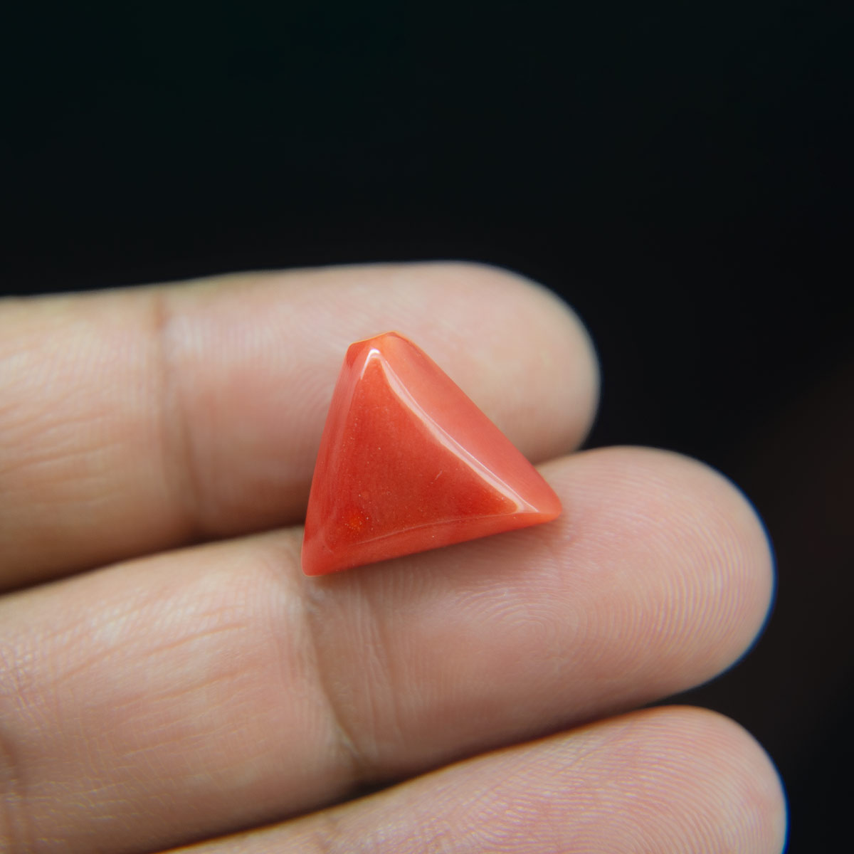 Red Coral - 11.74 Carat