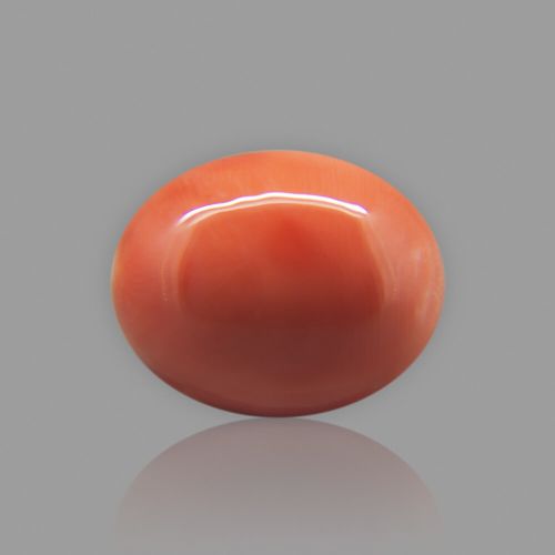 Red Coral (Moonga) Japanese - 7.22 Carat (8.00 Ratti)