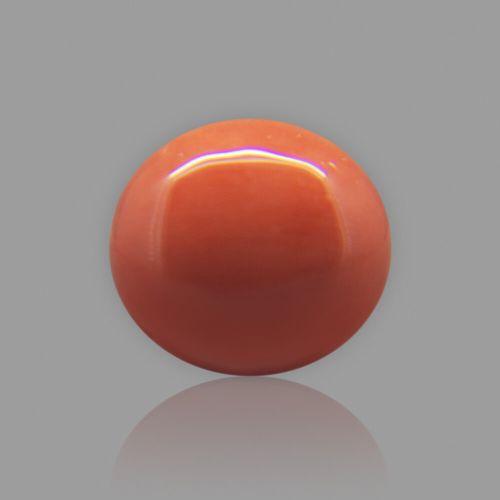 Red Coral (Moonga) Japanese - 6.21 Carat (6.90 Ratti)