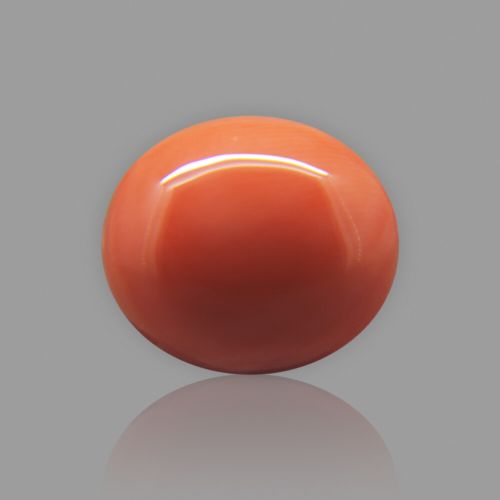 Red Coral (Moonga) Japanese - 6.60 Carat (7.30 Ratti)