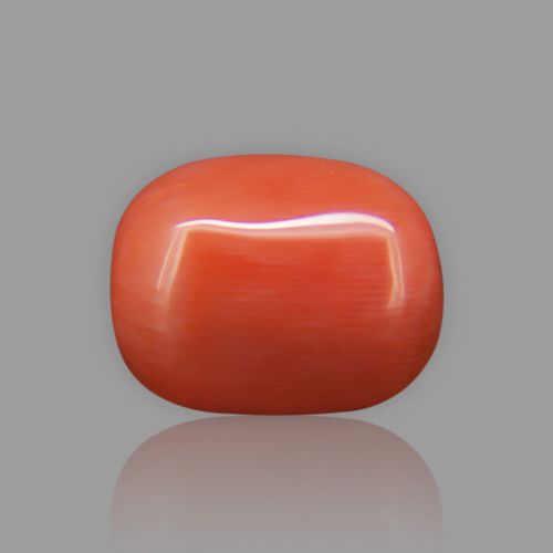 Red Coral (Moonga) Japenese - 13.22 Carat (14.50 Ratti)