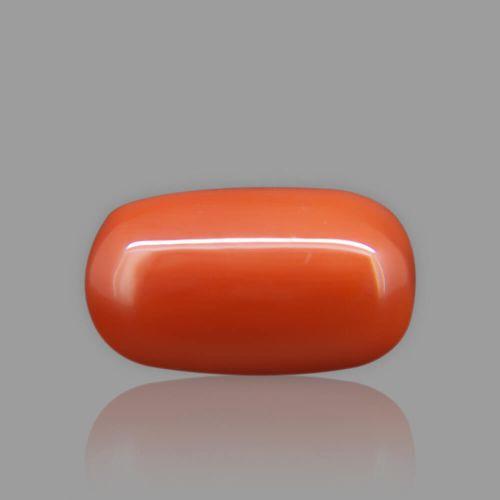 Red Coral (Moonga) Italian - 15.32 Carat (17.00 Ratti)