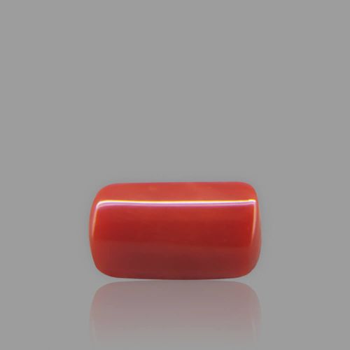 Red Coral - 2.87 Carat