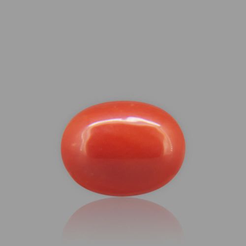 Red Coral - 1.79 Carat
