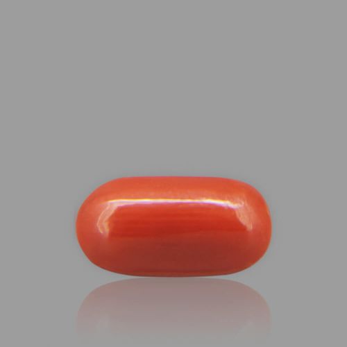 Red Coral - 2.67 Carat