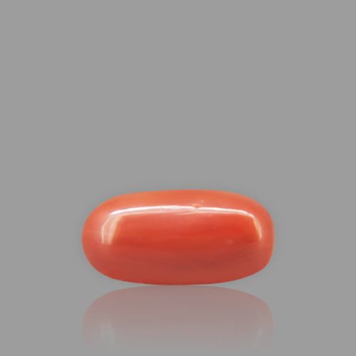 Red Coral - 2.57 Carat