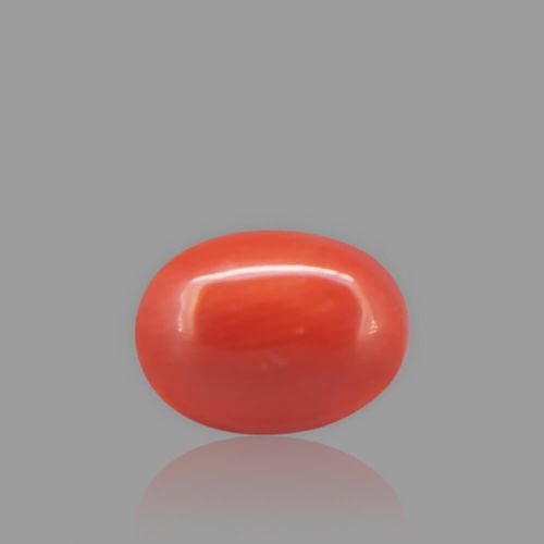 Red Coral - 1.89 Carat