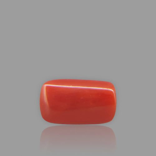 Red Coral - 2.79 Carat