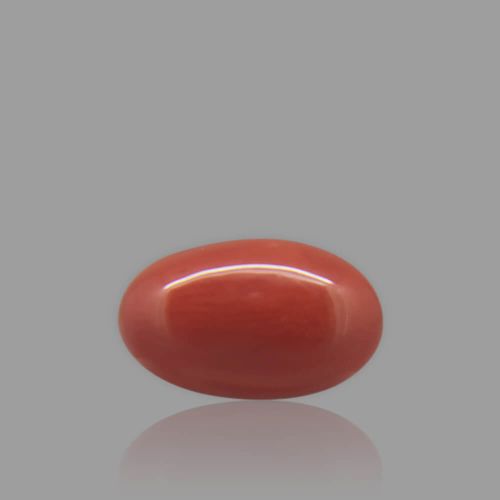 Red Coral - 3.72 Carat