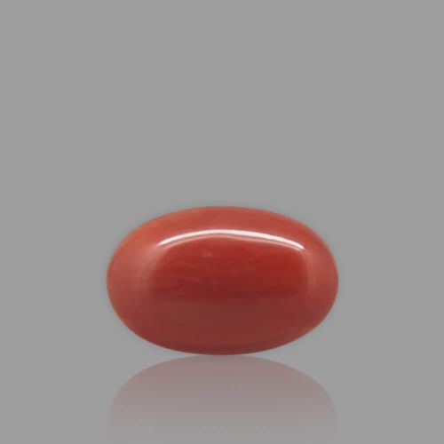 Red Coral - 3.35 Carat