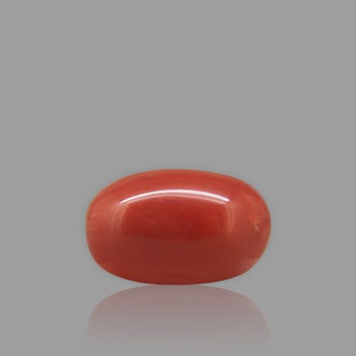 Red Coral - 3.69 Carat